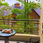 Departamento Explore Pucon